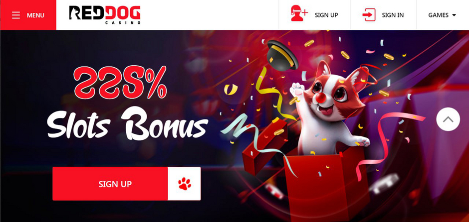 Summary Of Red Dog Casino Review