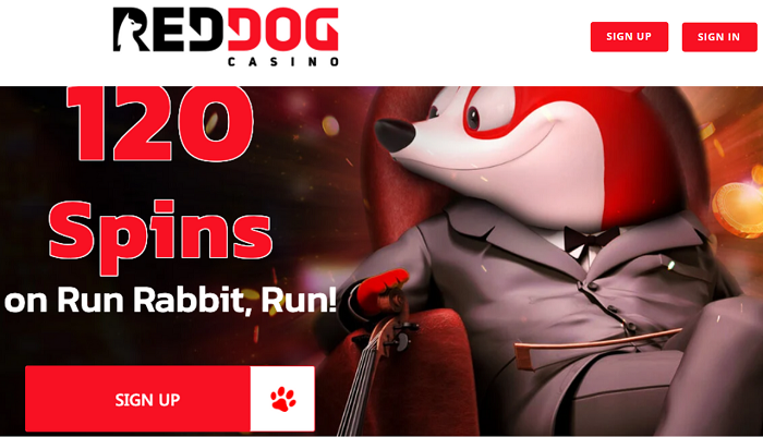 Types Of Games Accessible at Red Dog Casino